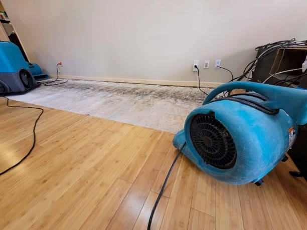 Professional Burst Pipe Water Damage technician working in Warm Springs, OR